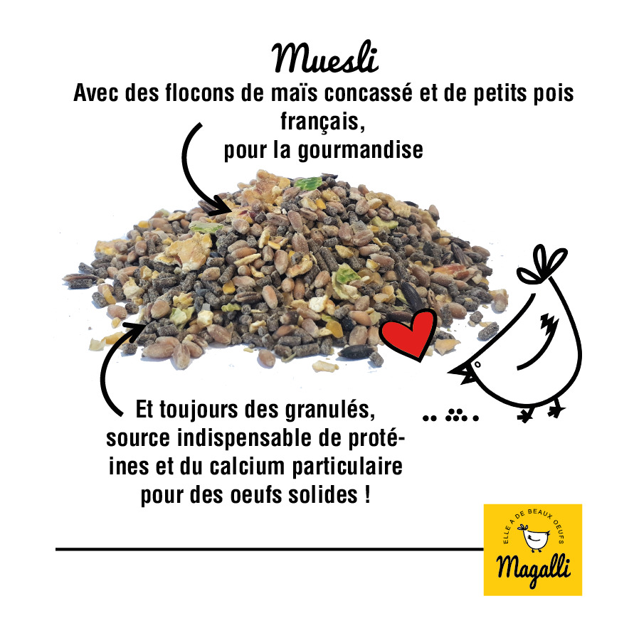 MAGALLI - BOX MUESLI PONDEUSE BBC