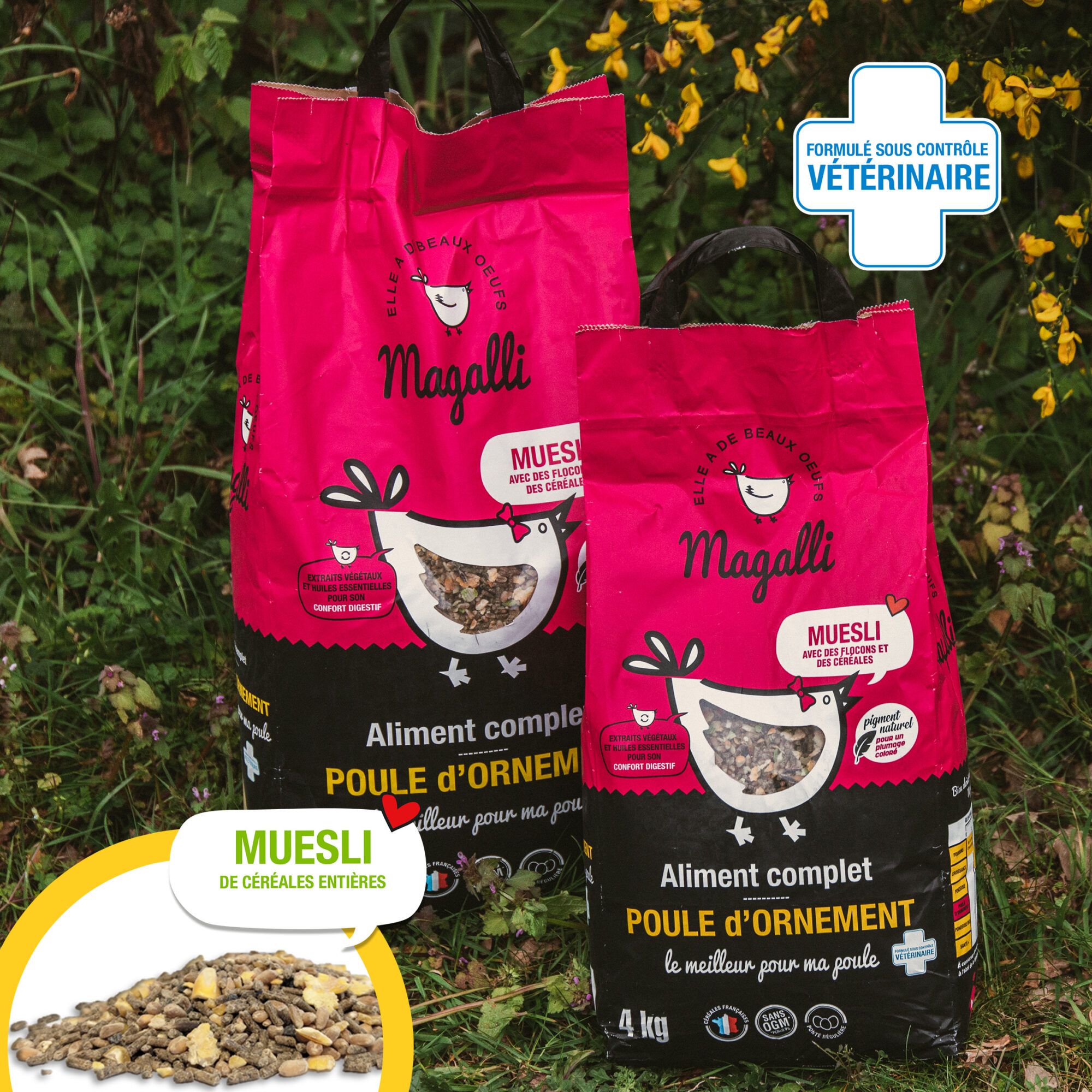 Aliment poule d'ornement : le Muesli Spécial Poule d'Ornement