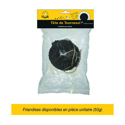 friandise_tete-de-tournesol-magalli-100