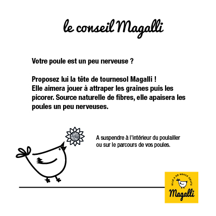 le conseil magalli - tete de tournesol-100