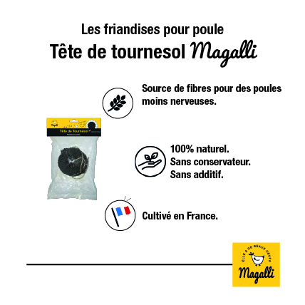 plus-produit-tête de tournesol-magalli-100