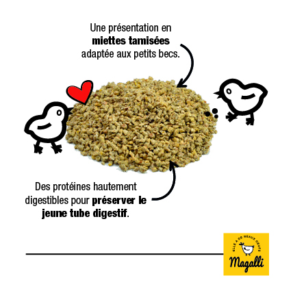 presentation-mangeoire-poussins-magalli-100