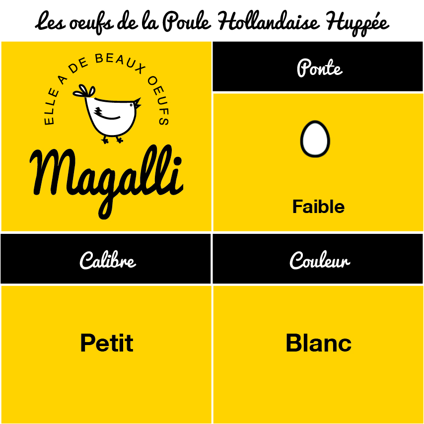tableau-oeuf-poule-hollandaise-huppee