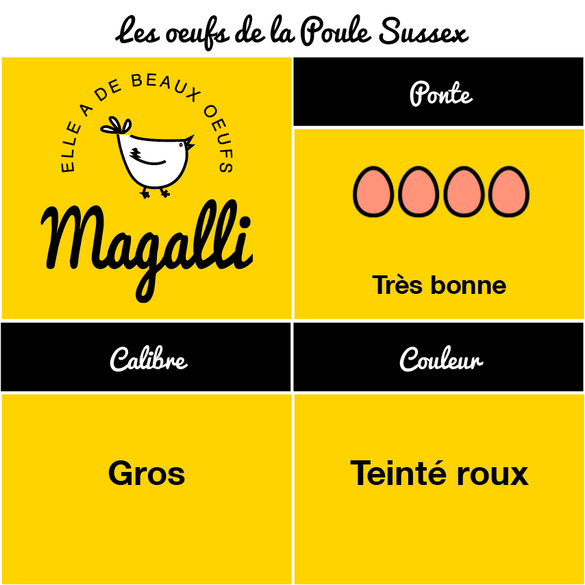 tableau-oeuf-poule-sussex