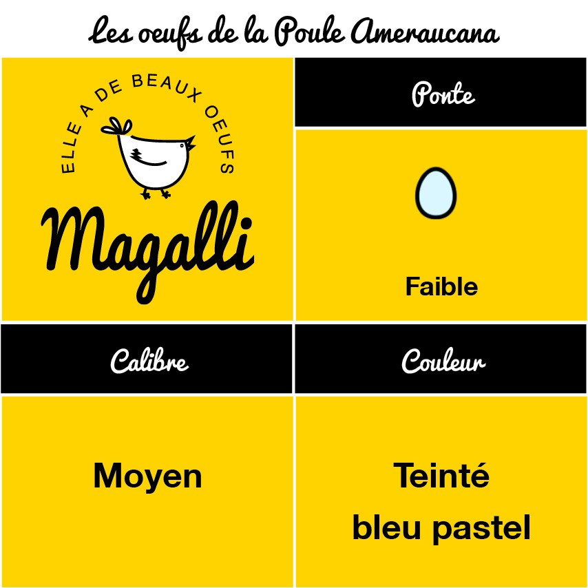tableau œufs poule ameraucana