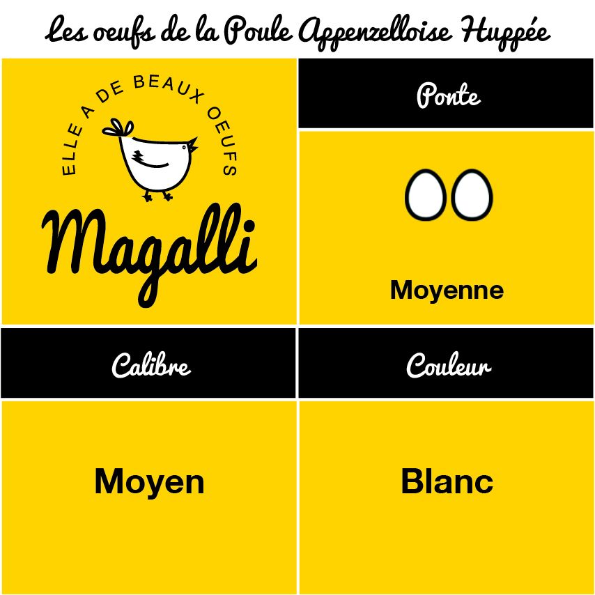 Tableau œufs Poule Appenzelloise