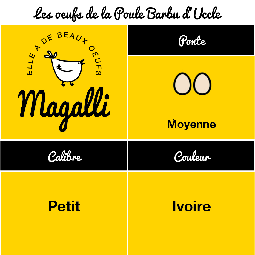 tableau-oeufs-poule-barbu-duccle