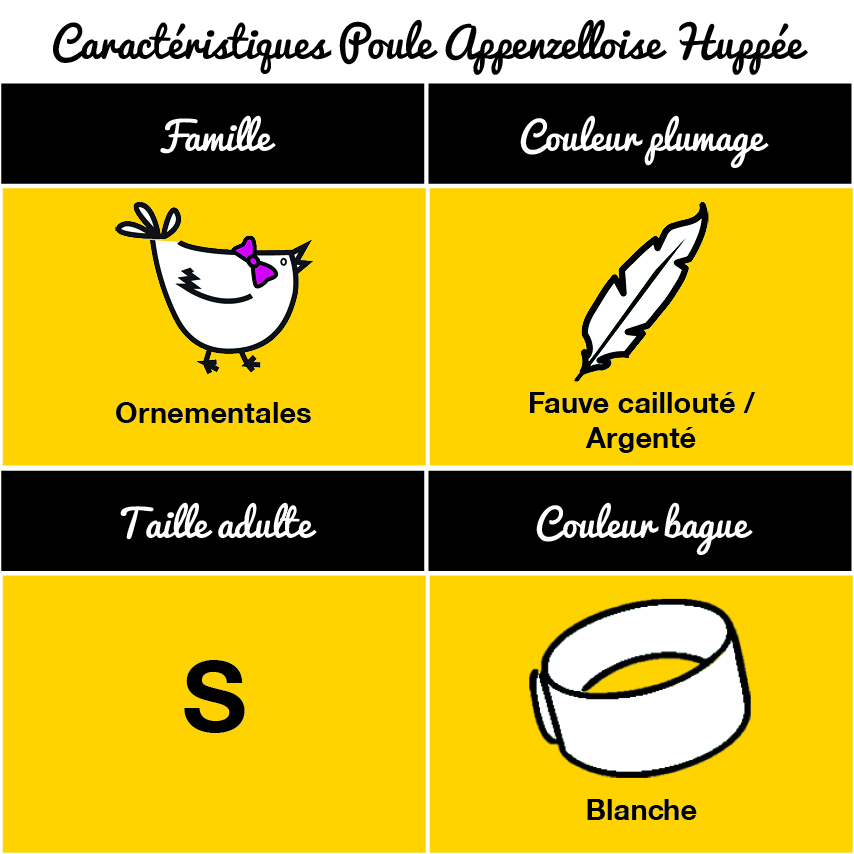 Tableau Poule Appenzelloise