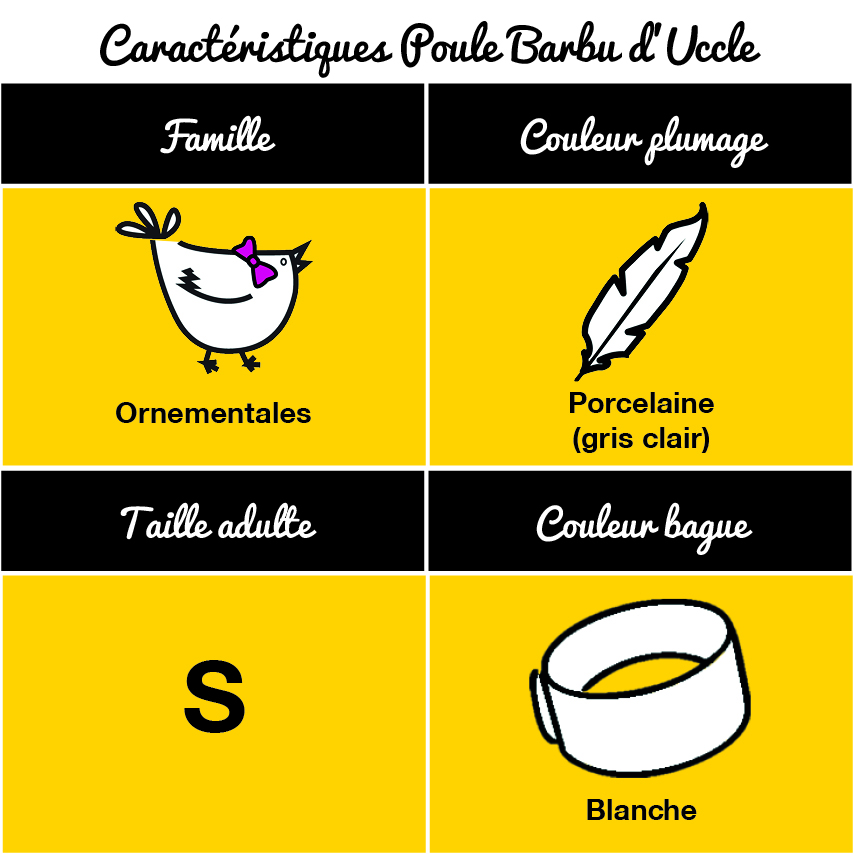 tableau-poule-barbu-duccle