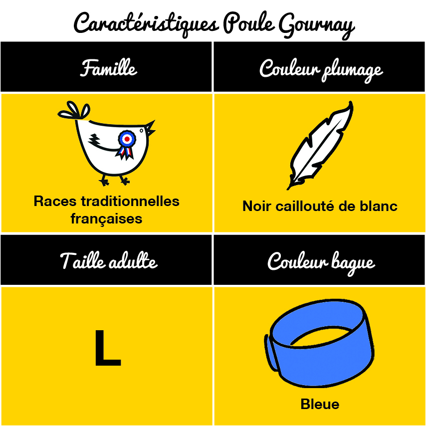 tableau-poule-gournay