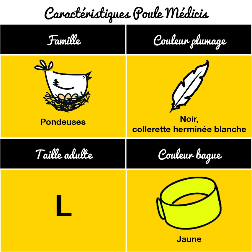 tableau-poule-medicis