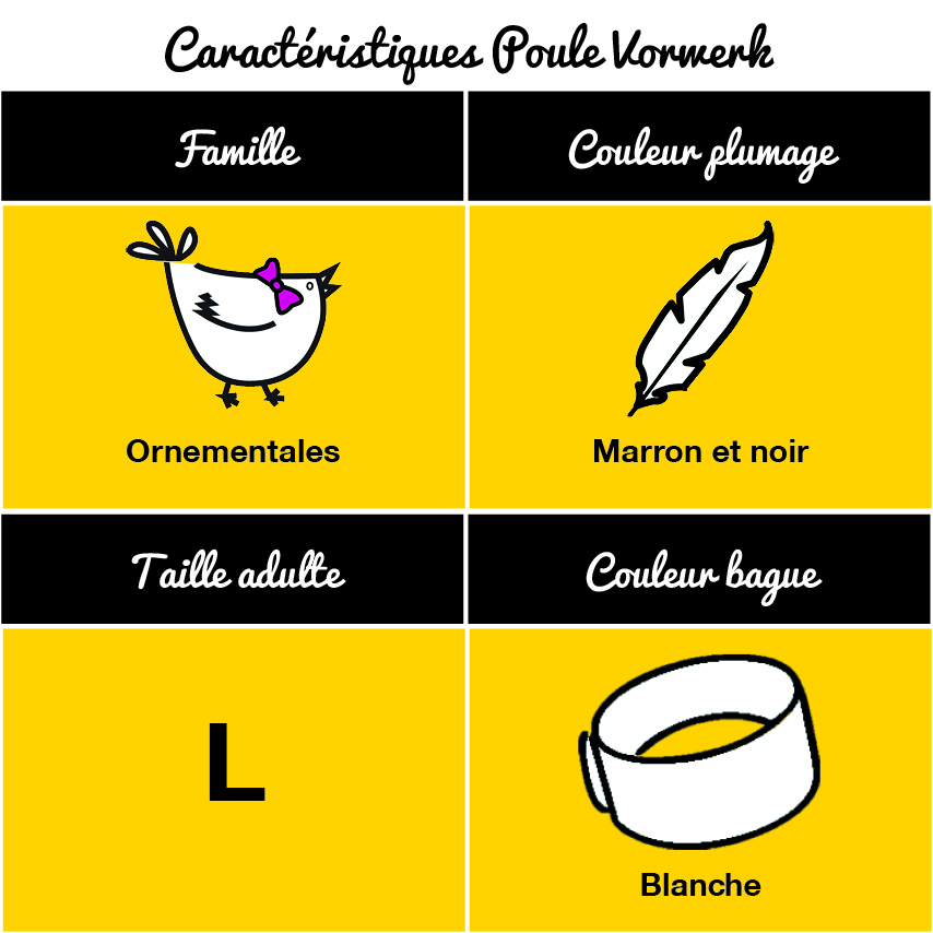 tableau-poule-vorwerk
