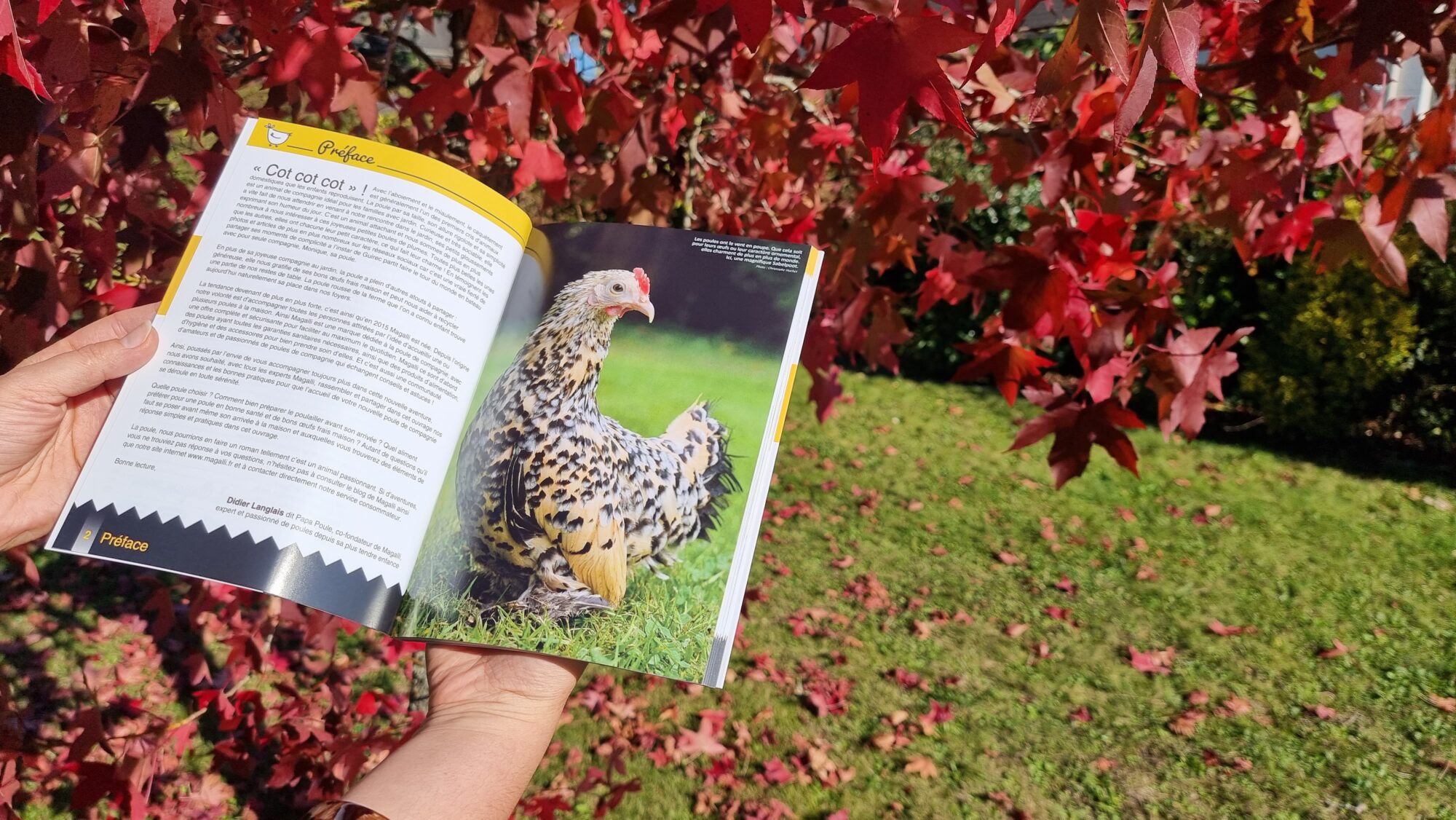 Livre Magalli 2