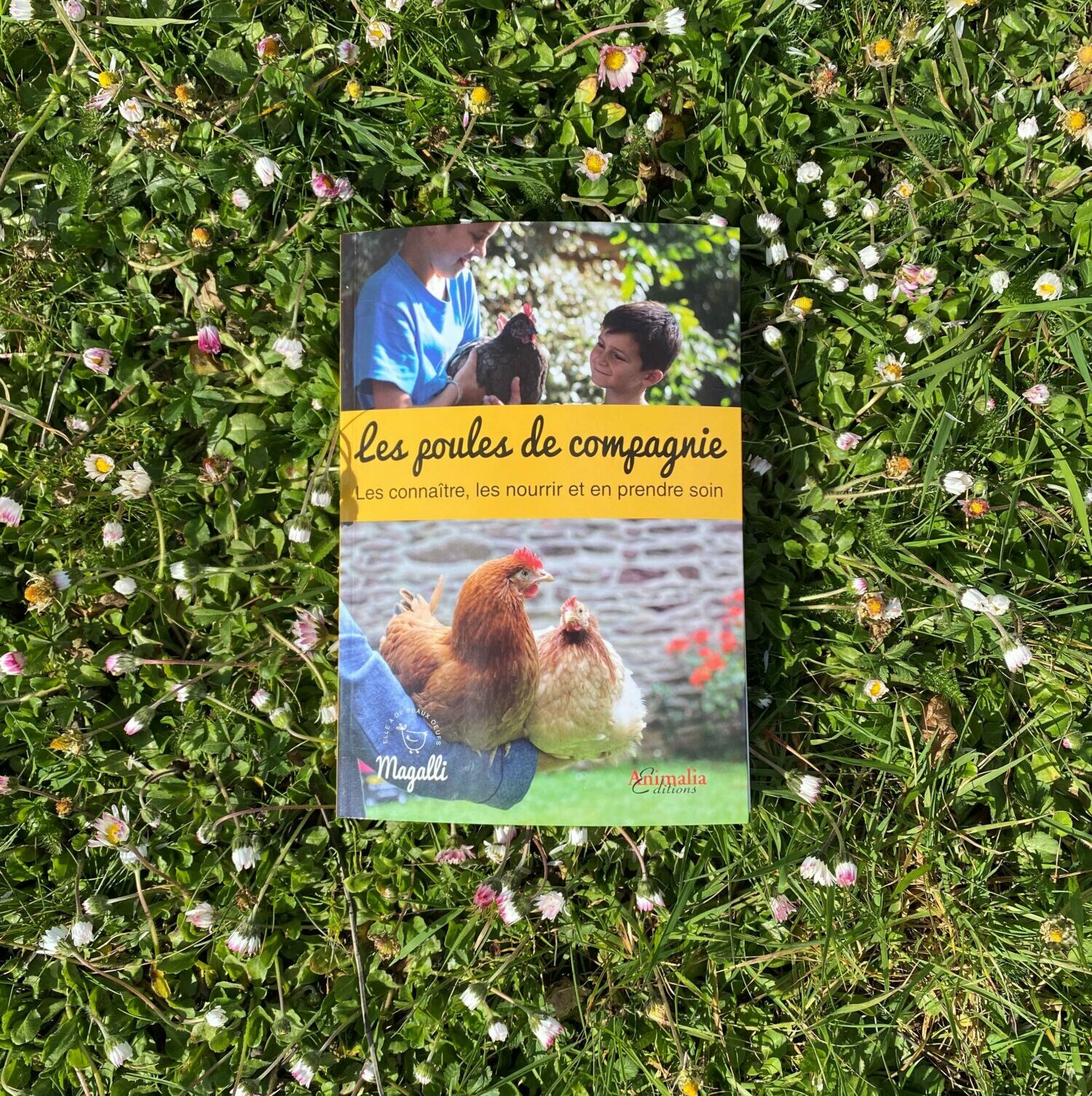 Livre conseils Magalli